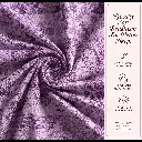 Gemini_Generated_Image_xpaga4xpaga4xpag.webp