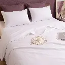 Gemini_Generated_Image_1uae1s1uae1s1uae.webp