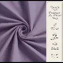 Gemini_Generated_Image_xfawjvxfawjvxfaw.webp