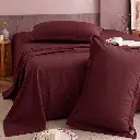 Gemini_Generated_Image_fj18xffj18xffj18.webp