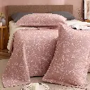 watermark-removed-Gemini_Generated_Image_c9bnm9c9bnm9c9bn-clean.webp